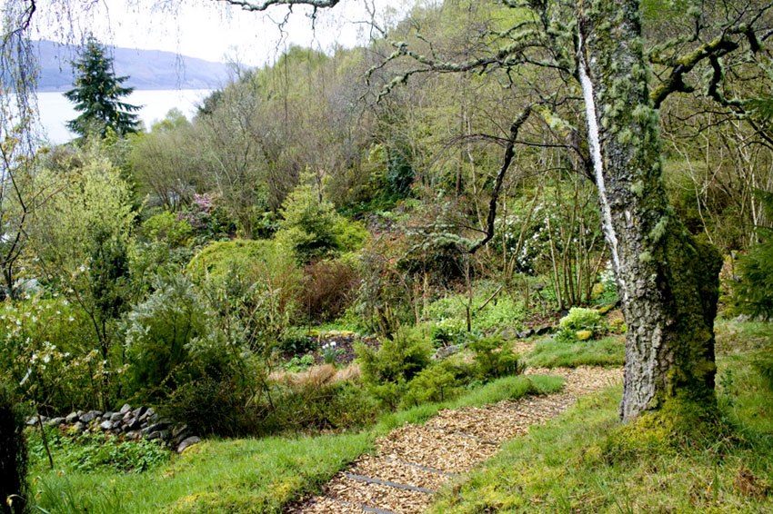 woodland view